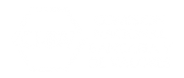 CNBV logo